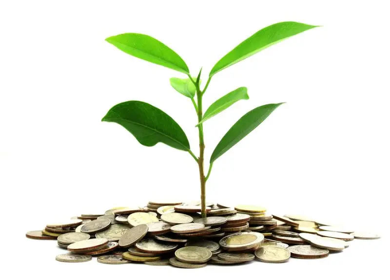 Инвестиции SKF в сохранение экологии | Свежие новости в Тольятти