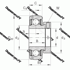 Подшипник GRAE 20-NPP-B